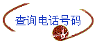 ѯ绰